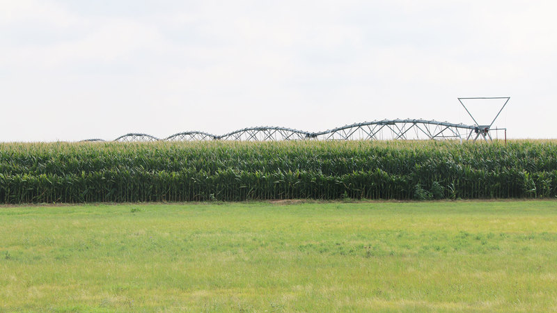 Duran Farm