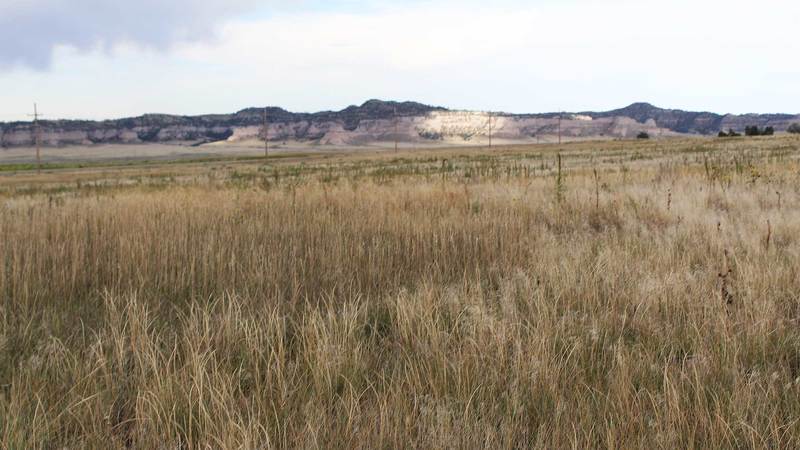 Banner County Grass Ranch