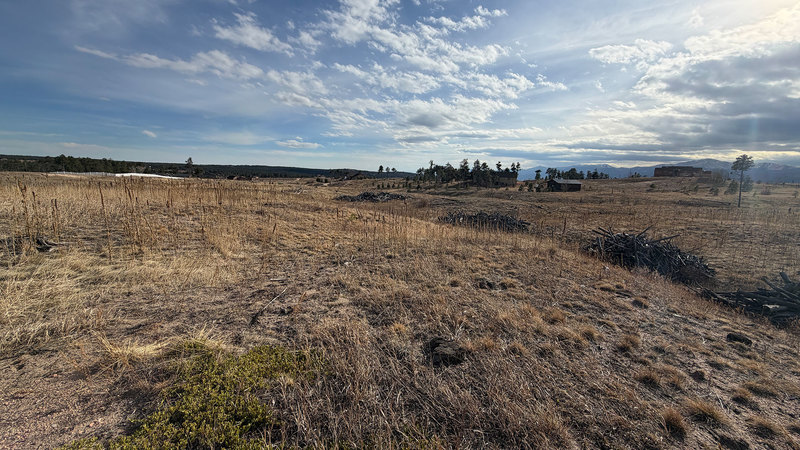 Black Forest Lot