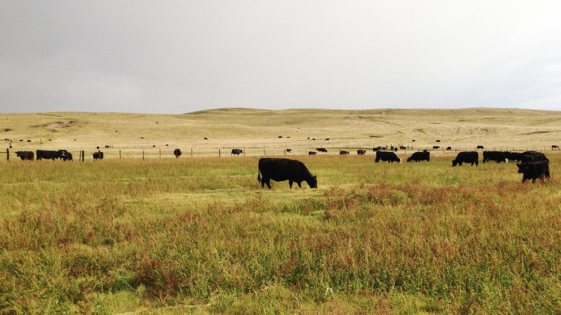 Trout Ranch