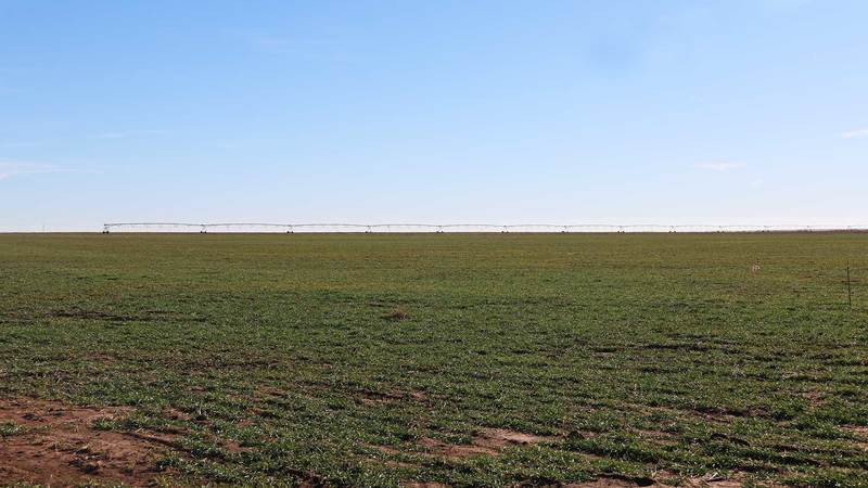 Beedy 640 Irrigated Farm