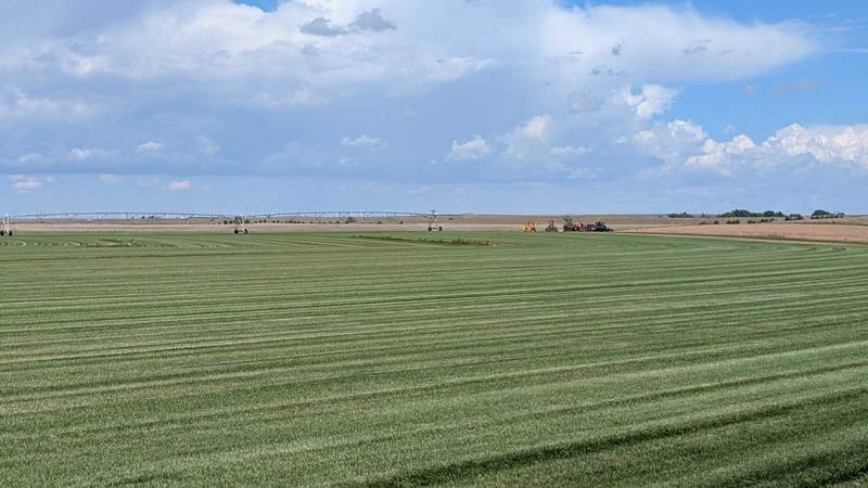 High Mesa Turf Farm