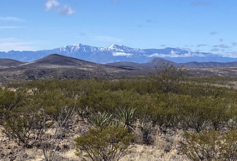 Tombstone Cattle Ranch
