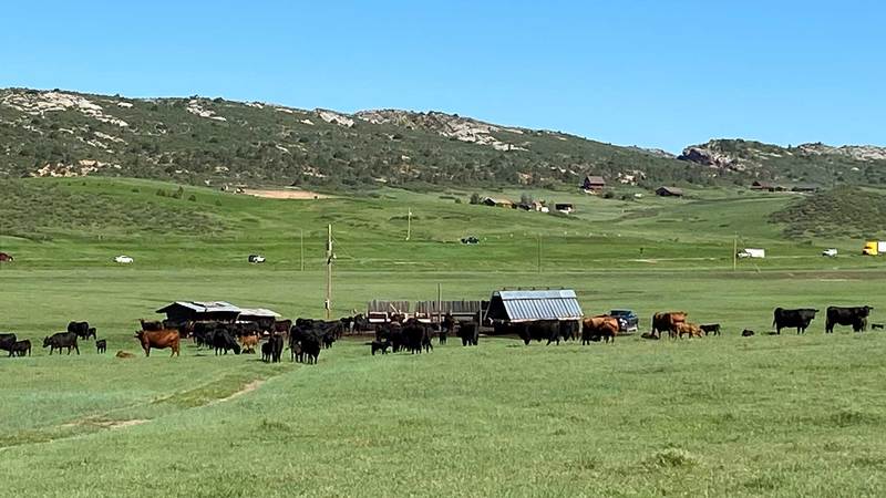Owl Canyon Ranch