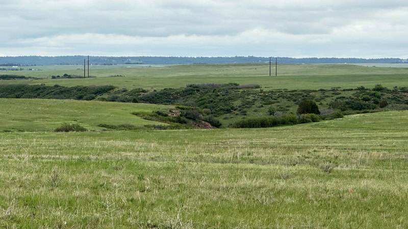 Homestead On Ridge Road