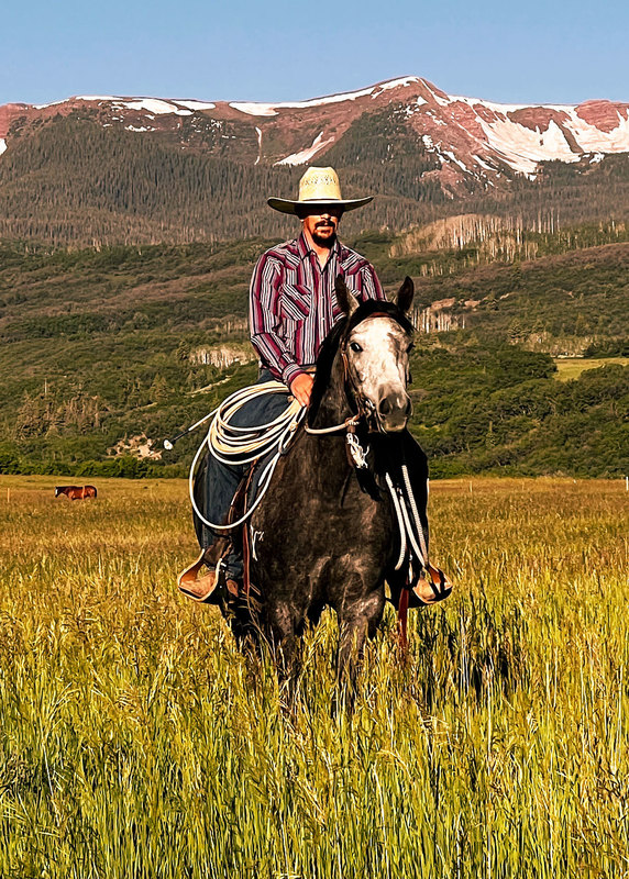 Mason & Morse Ranch Company Agent Featured in CSU Legends of Ranching Horse Sale 2026