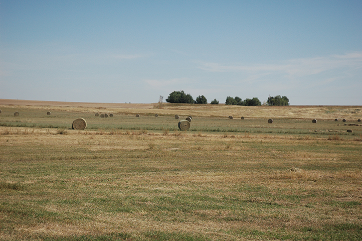 Sunny Valley Ranch